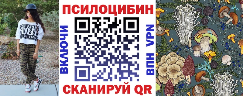 Псилоцибиновые грибы Cubensis  Волхов 