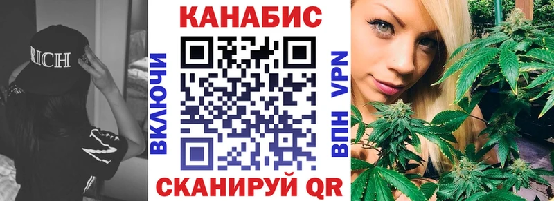 Каннабис семена  Волхов 